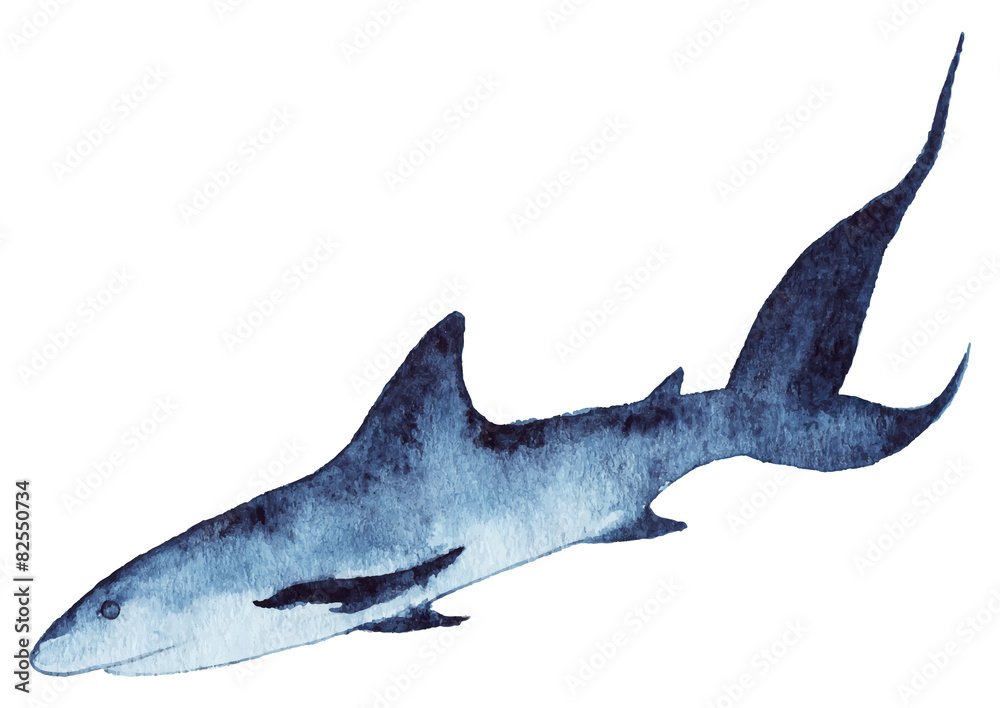 Fototapeta premium Watercolor shark isolated