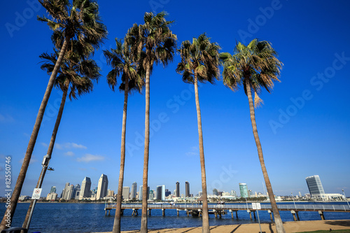  Skyline of San Diego and Palm Trees