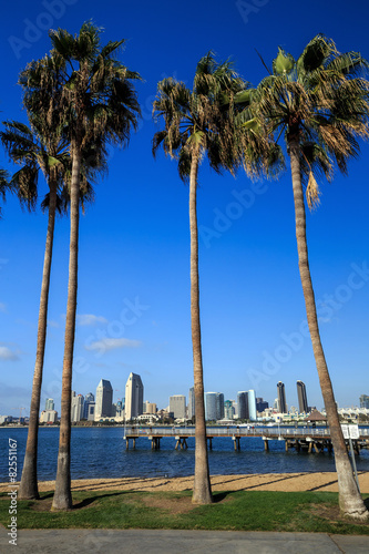  Skyline of San Diego and Palm Trees