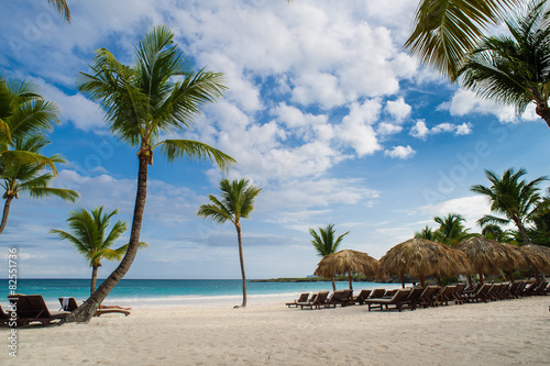 Palm and tropical beach in Tropical Paradise. Summertime holiday