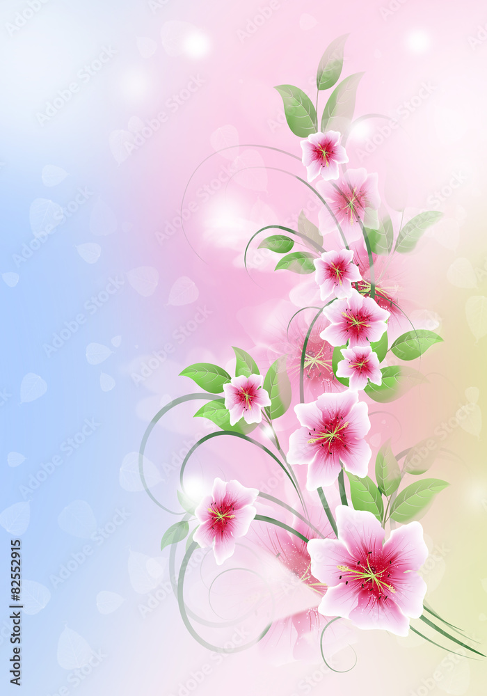 Spring background with pink flowers.