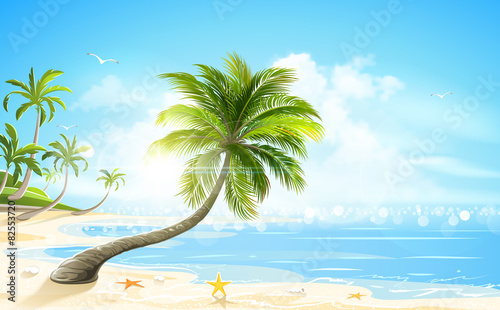 Tropical beach. Vector