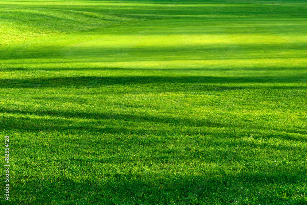 Obraz premium Światło i cień na pięknym trawniku
