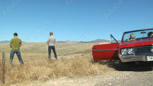 stopping to urinate on a road trip