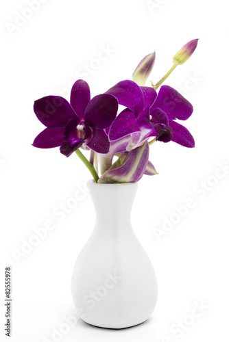 Blossom purple orchid in white vase