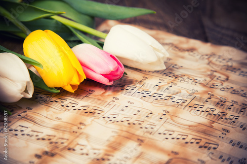Fototapeta Naklejka Na Ścianę i Meble -  Tulips on a music notes paper