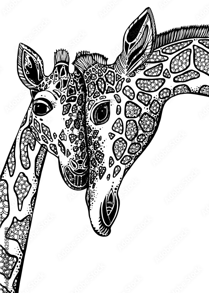 Obraz premium Vector graphic illustration with two giraffes in love.