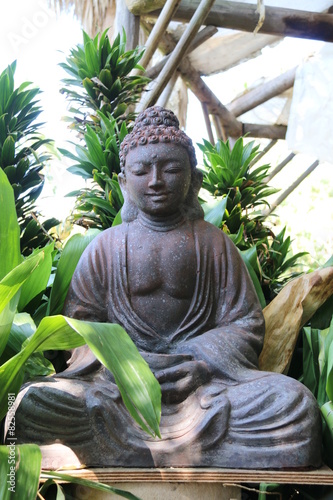 Buddha unter Palmen