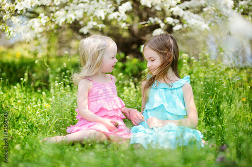 Two cute little sisters in blooming cherry garden