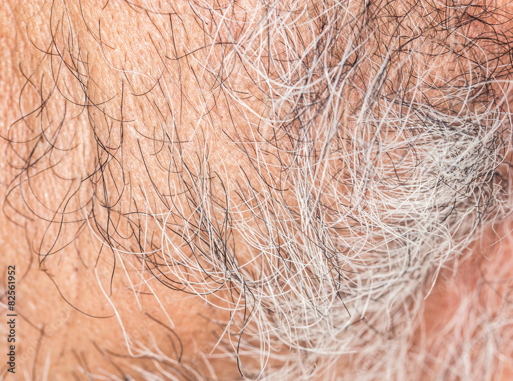 Fototapeta premium hair of the beard. close-up