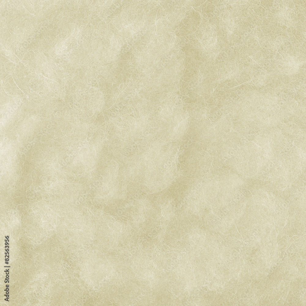 Raw Merino Sheep Wool Macro Closeup Large Detailed White Texture