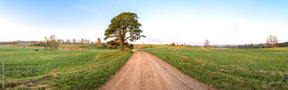 Countryside road by spring, panoramiv view Countryside road by spring, panoramiv view