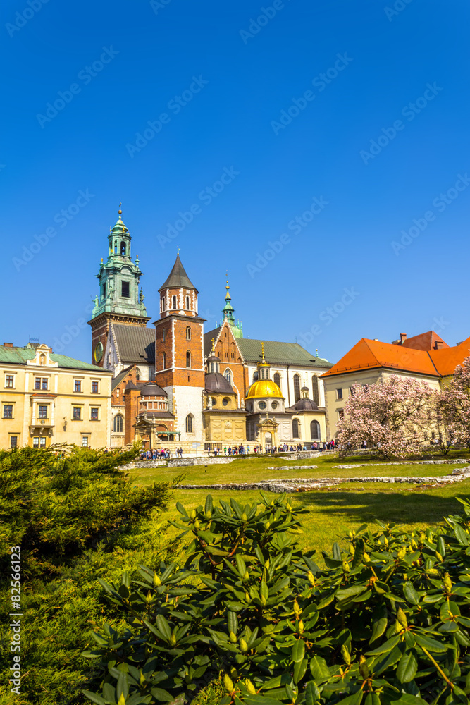 Royal Wawel Castle, Krakow, Poland