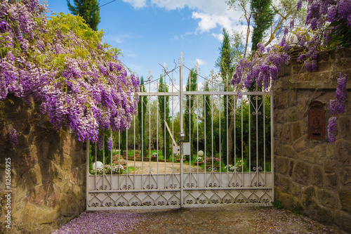 Cancello di entrata di una villa photo