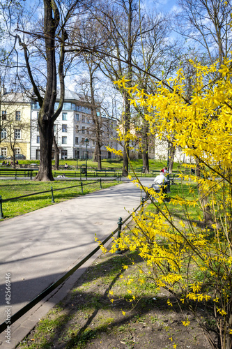 Planty park walk in springtime, Krakow Poland #82566946