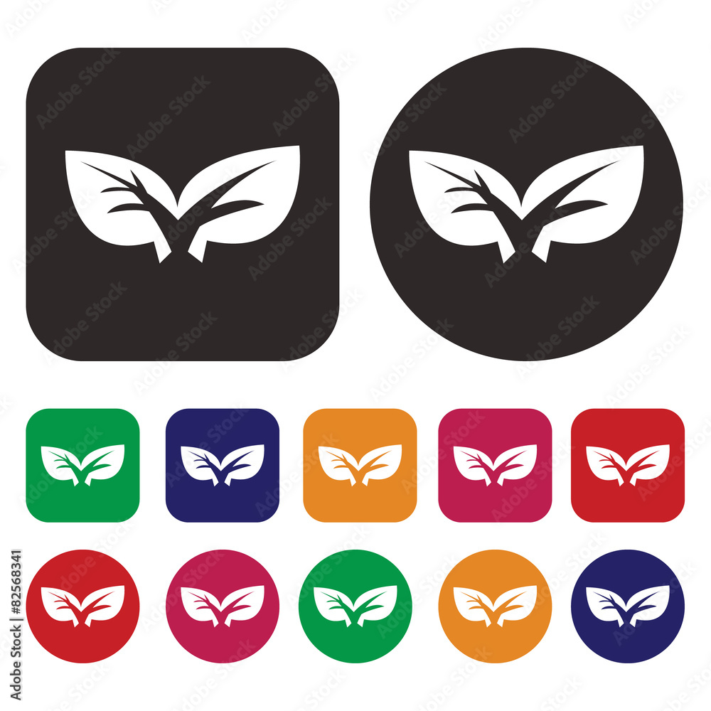 Leaf icon / Ecology icon