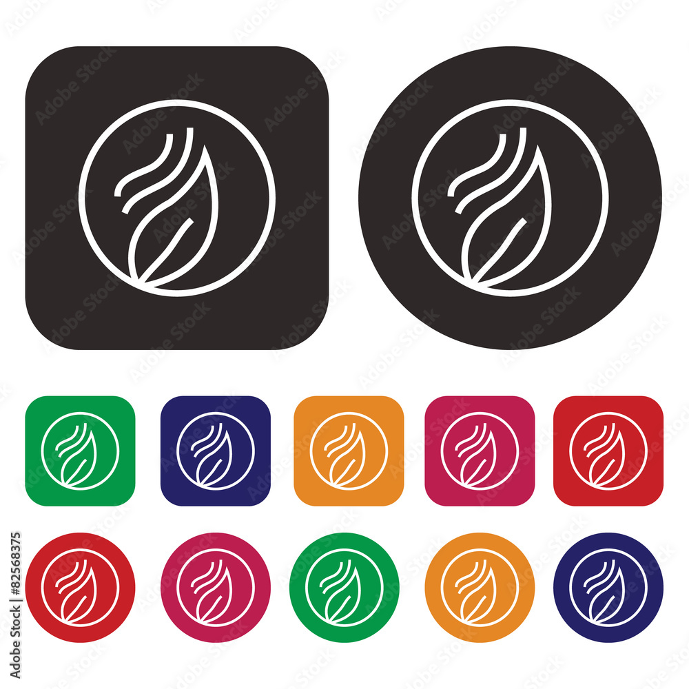 Leaf icon / Ecology icon Leaf icon / Ecology icon