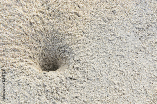 Hole of small crab