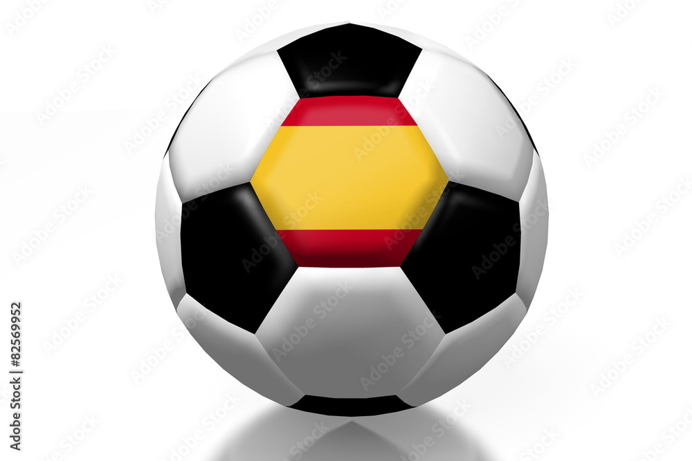 Fototapeta premium Soccer concept