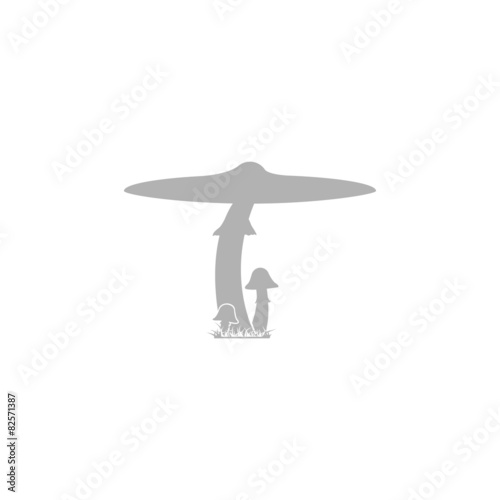 Simple icon fungus.