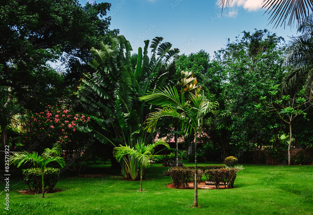Jungle tropical park. Ancient village Altos de Chavon - Colonial