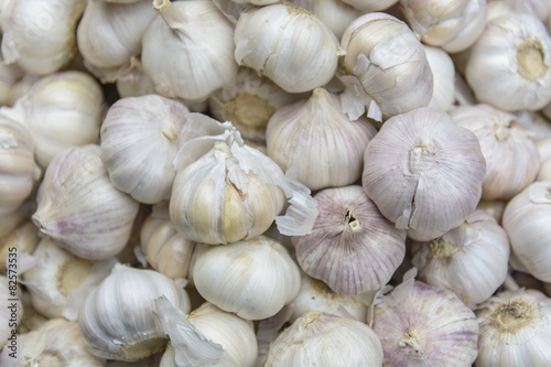 Common Garlic, Allium ,Garlic, Allium sativum L.