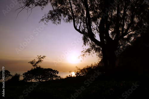 Early Morning Sunrise through the trees over an island and ocean