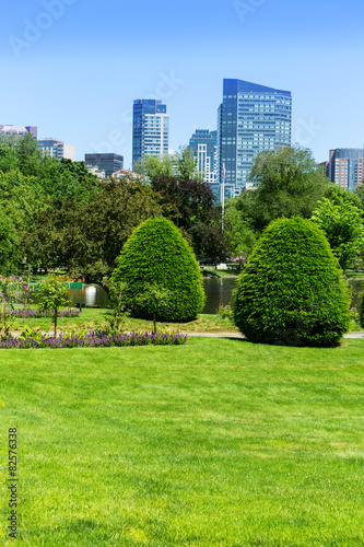 Boston Common park gardens and skyline
