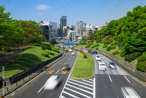 Obraz na płótnie 東京　代々木公園　道路