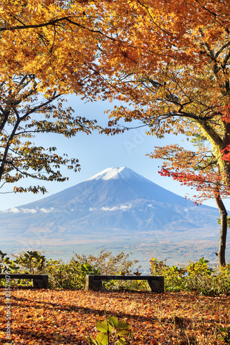 Mt. Fuji with fall colors in japan