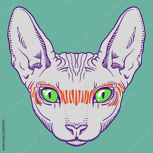 hairless sphinx cat face graphics, outline 