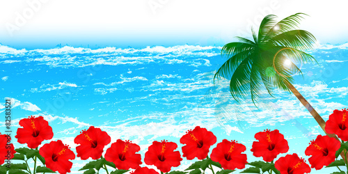 ハイビスカス　海　背景