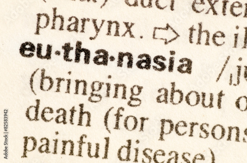 Obraz na plátně Dictionary definition of word euthanasia