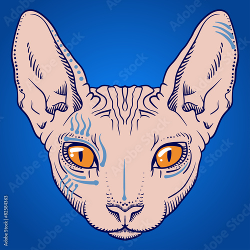 hairless sphinx cat face graphics, outline 