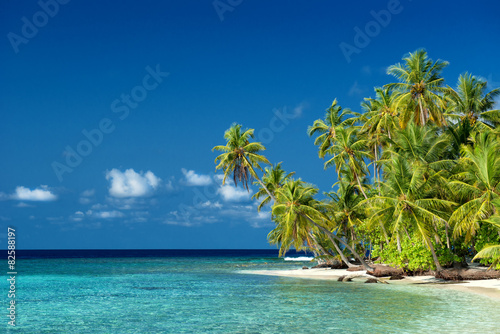 einsamer Strand mit Palmen auf den Malediven © Loocid GmbH