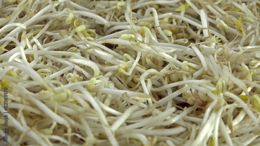 Portion of Mungbean Sprouts (not seamless loopable 4K footage) Portion of Mungbean Sprouts (not seamless loopable 4K footage)