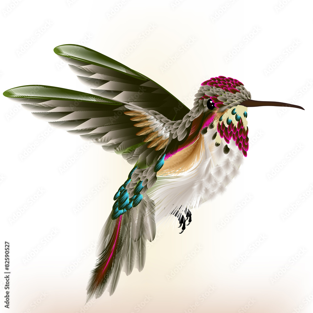 Naklejka Piękny kolorowy hummingbird w komarnicie