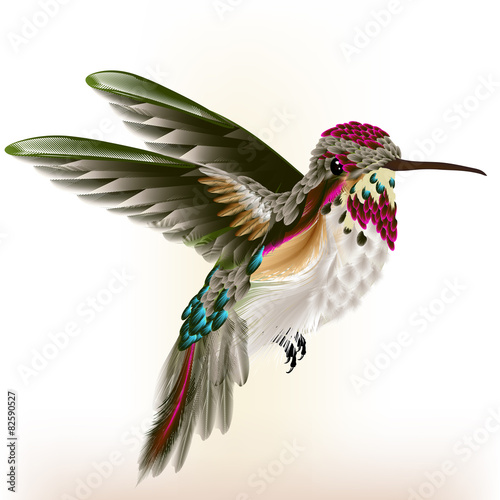 Beautiful colorful  hummingbird in fly