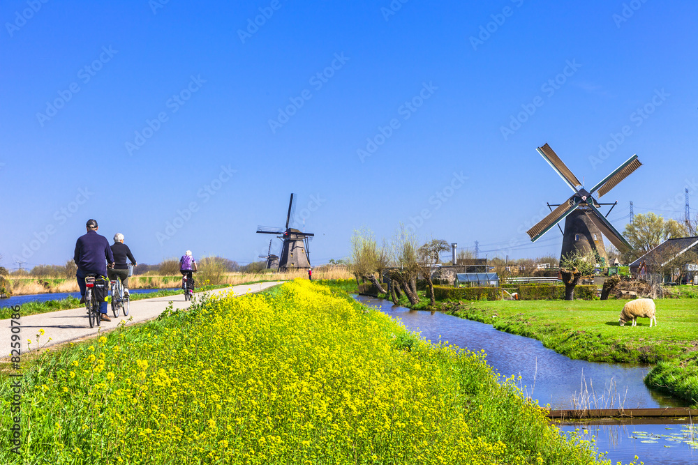 activities in Holland countryside - obrazy, fototapety, plakaty 