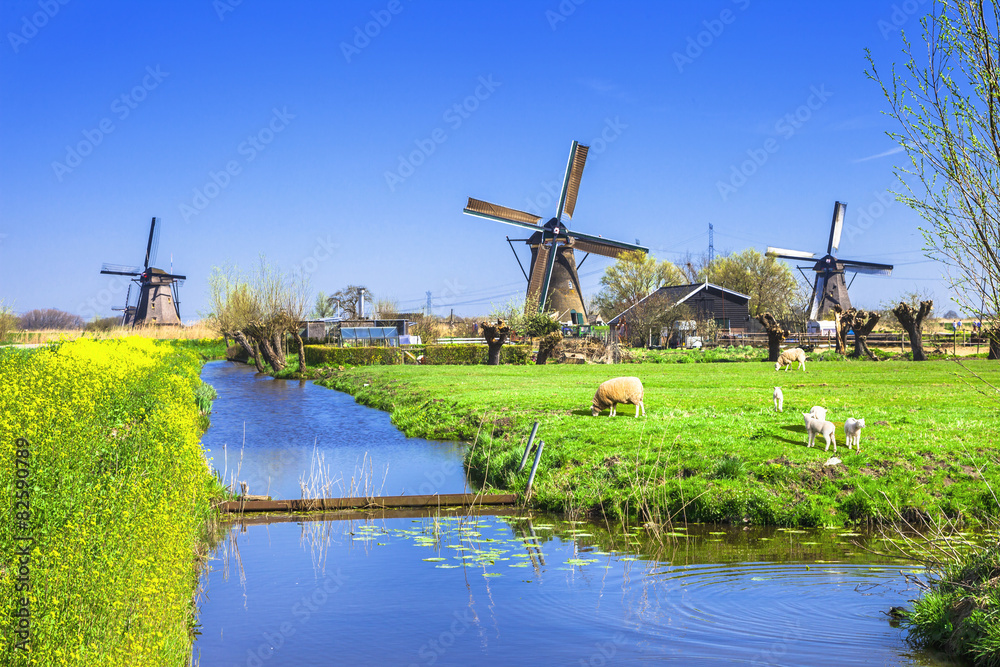 traditional Holland countryside - obrazy, fototapety, plakaty 