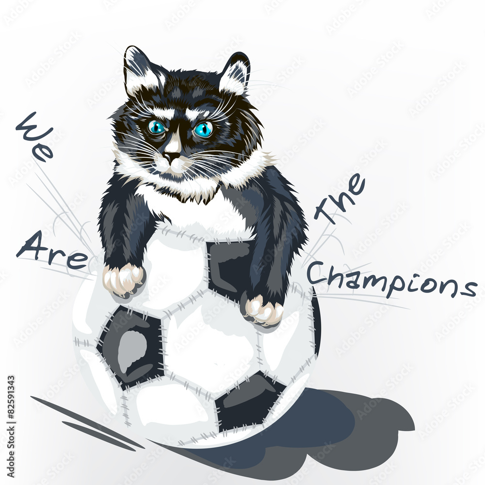 Cute angry kitty tear ball football background Cute angry kitty tear ball football background