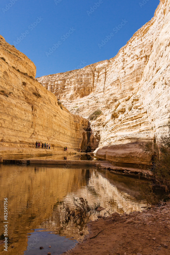  Ein Avdat National Park, Canyon, a source in the Negev desert