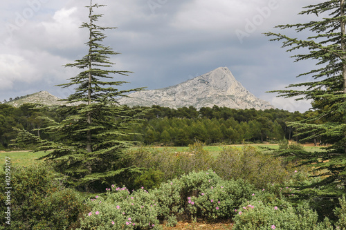 La sainte Victoire, à aix en Provence