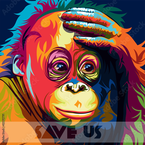 orangutan colour vector