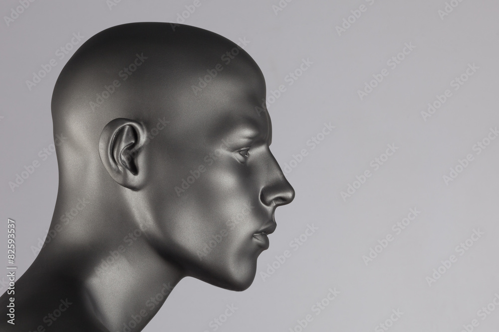 mannequin head mannequin head