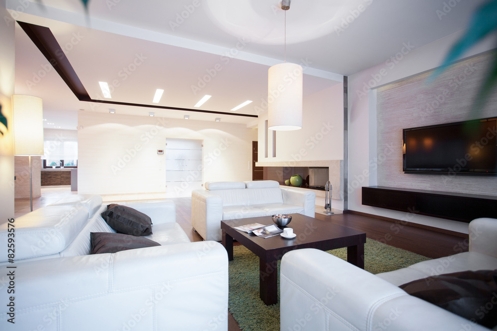 Fototapeta premium Comfortable couches and coffee table