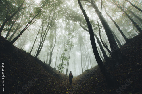 spooky forest scene with ma...