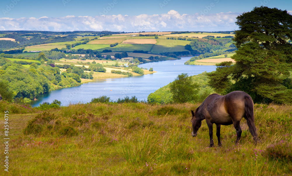 Fototapeta premium Pony at Wimbleball Lake Exmoor National Park Somerset 