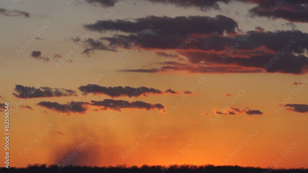 Birds Call Just After Sunset Birds Call Just After Sunset