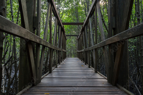 Wooden bridge in the mangrove forest